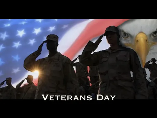 Veterans Day Petition