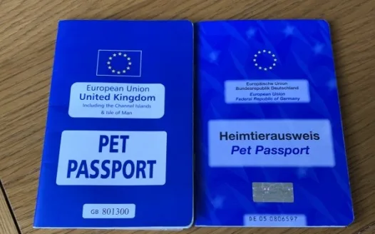 Uk pet travel to Europe from 2021
