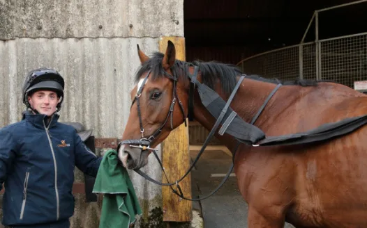 LIft the ban on using a racecourse safety rein