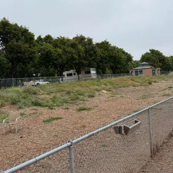Digging for a Dog Park