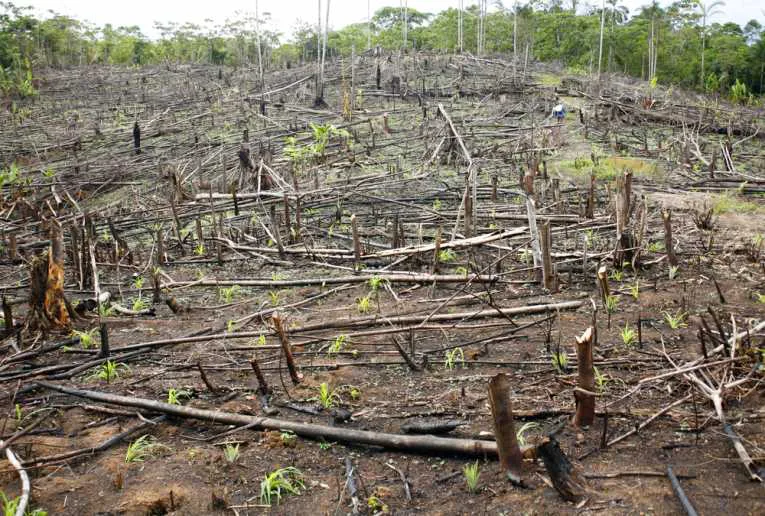 Scrapping of EIA 2020