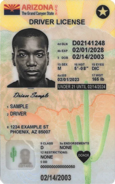 Keep Our Teens Safe, Raise the Licenses Age Requirement!