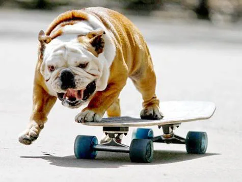 Put a skate ramp back in Montclair Park