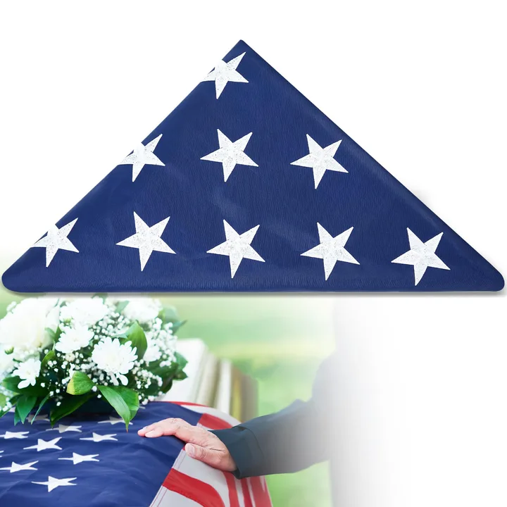 The Petition for the Purple Heart for 1st Lt. Louis Allen and Captain Phillip Esposito