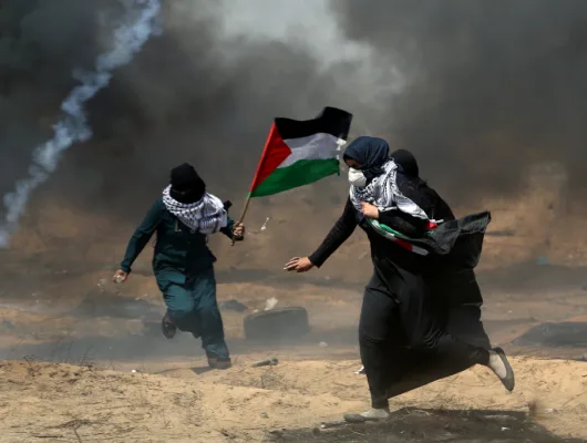 THE PAKISTANI FIGHT FOR PALESTINE