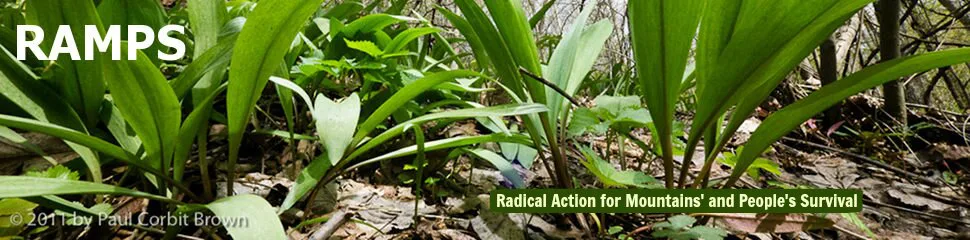 Open an investigation into the possible misconduct of RAMPS reguarding tax laws for a non-profit group and inproper allocation of any funds obtained