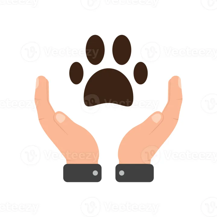 Stop killing innocent animal\'s by Marines