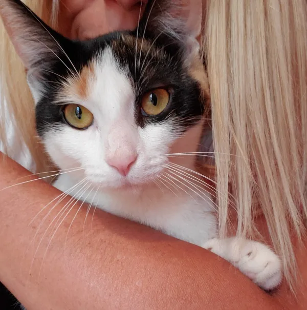 BRING KIKI HOME