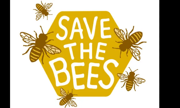 Save the bees to save humanity
