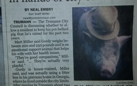 Help keep Gordy home!