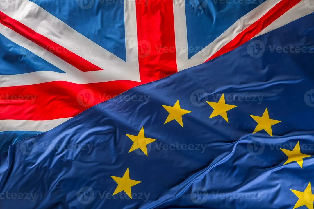 BRITAIN SHOULD NOT LEAVE  THE EU!