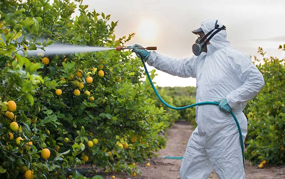 Ban the use of endosulphan and carbendazim on Australian produce