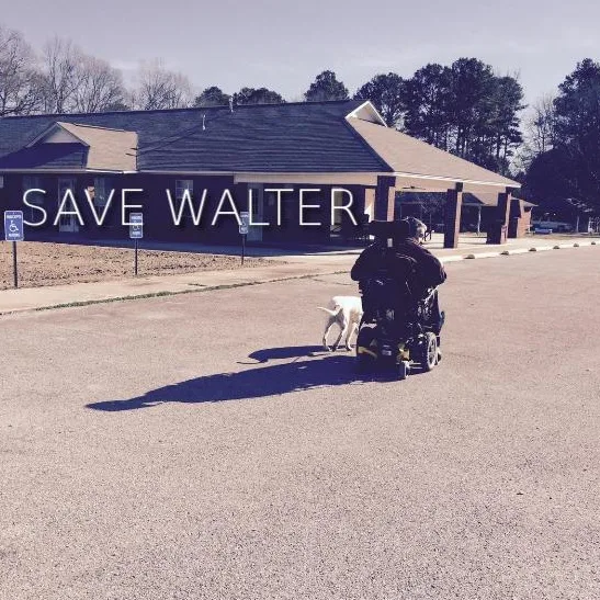 Save Walter McAlister
