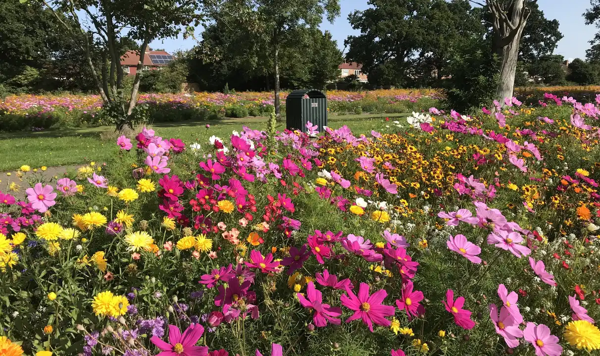 Save Ealing Central Sports Ground, Perivale
