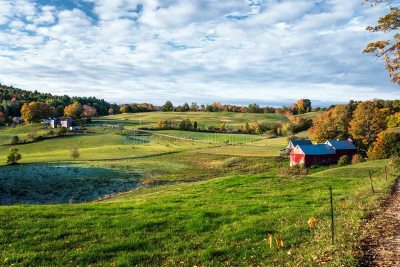 Bring Megan To Vermont!