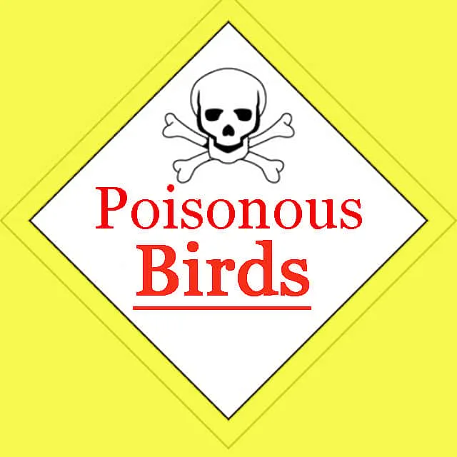 SayNoAvitrol.com Pigeon Poison Las Vegas