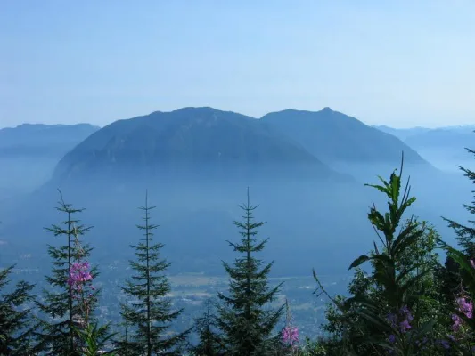 Reinstate the 215 Direct Route to Snoqualmie!