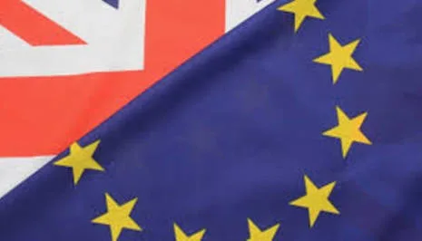 Rename the Referendum Voty McVoteFace