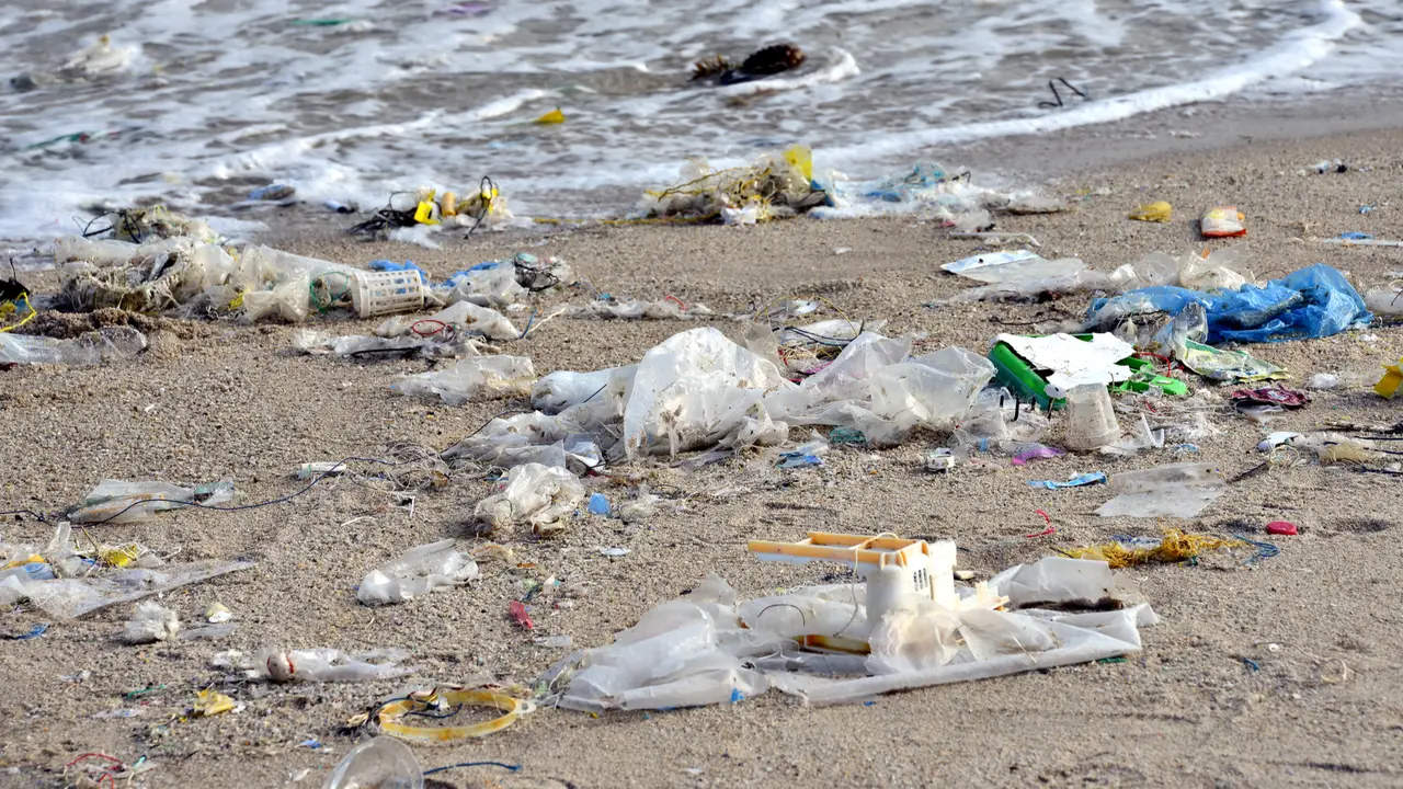 Ban the Bag