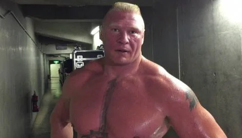 Please Book Brock Lesnar for the WWE Tribute To The Troops show in 2015