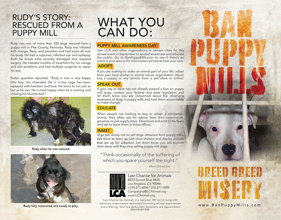 BDPM; Bring Down Puppy Mills