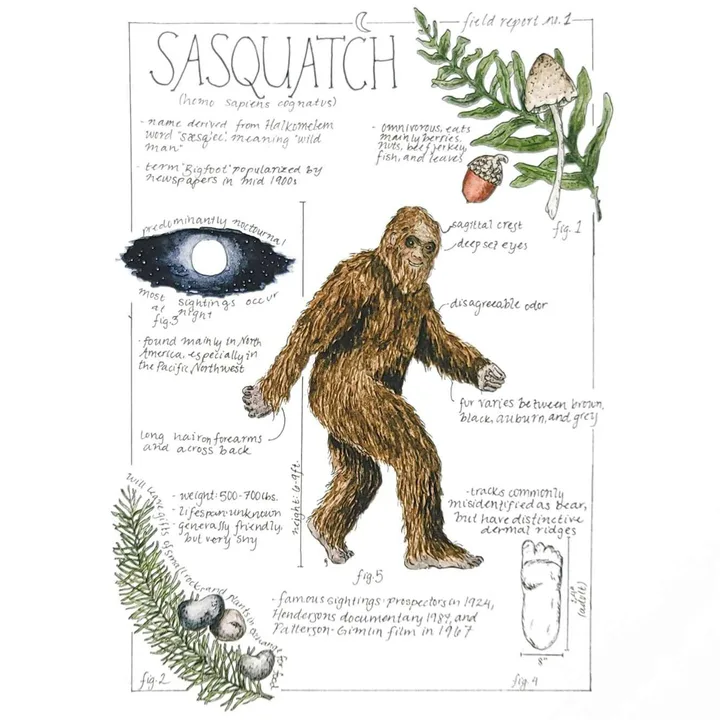 For Cryptozoology to become a credited degree and science