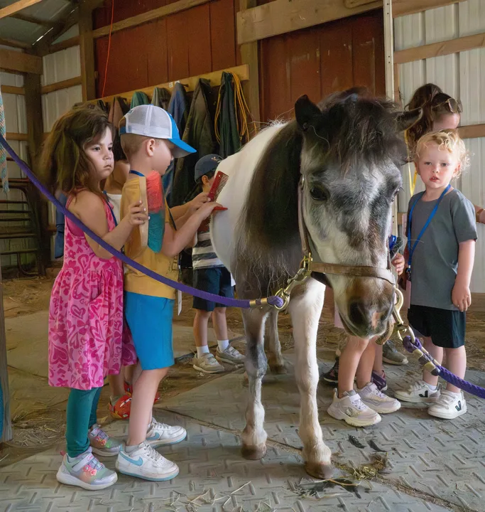 Save Avonlea Farm from Closure