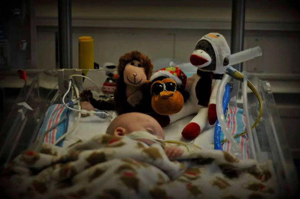 Custody of Baby Andrew To be Granted to Charles and Cynthia Owens