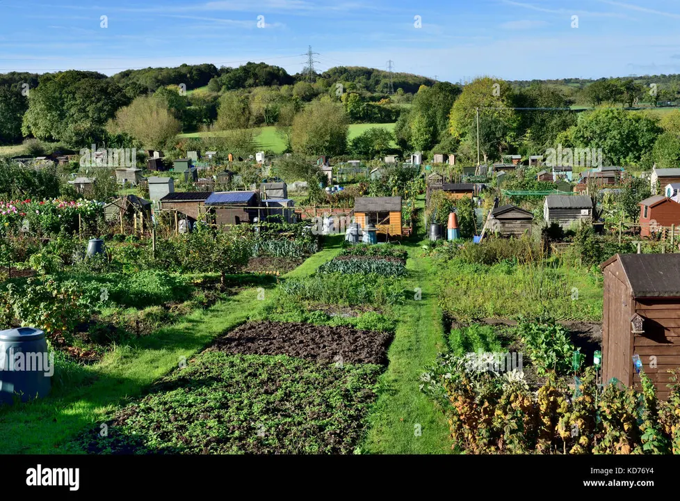 Allotments in Princes Risborough