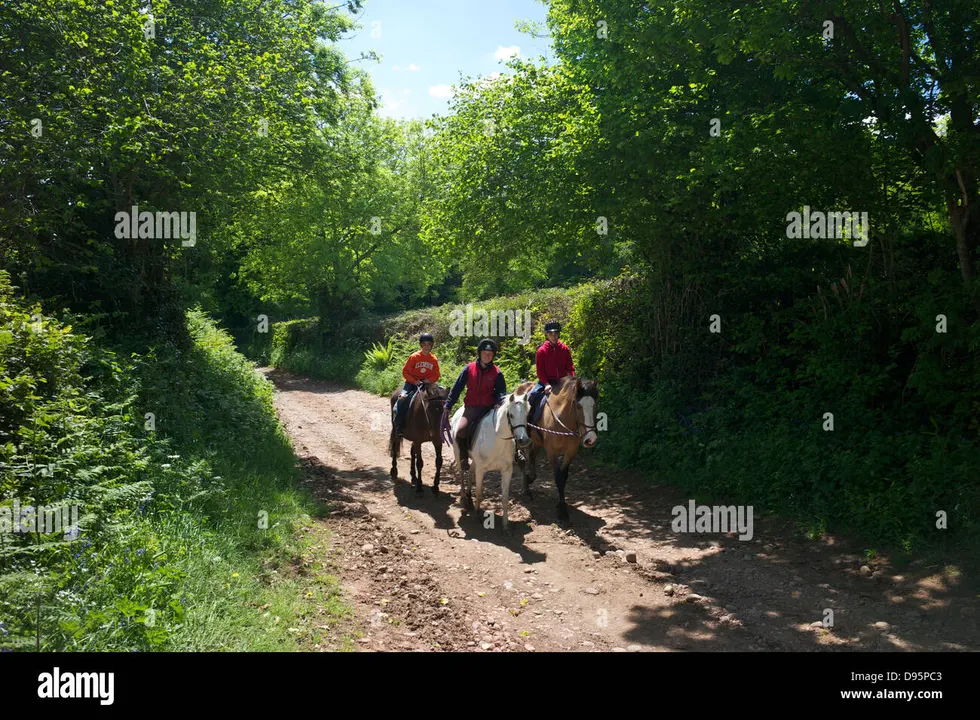 Make Greenhedges Byway a Bridlepath