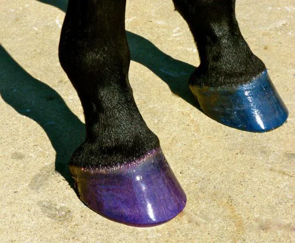 WE WANT PONY GLAM HOOF HI-LITES IN DOVER SADDLERY!
