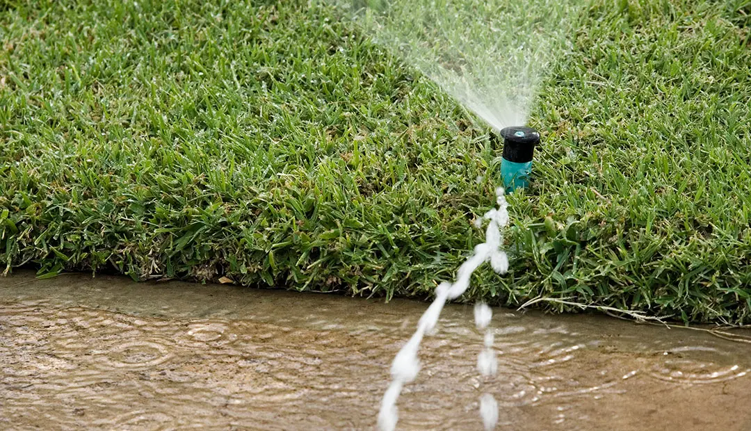 Save blue, stay green!