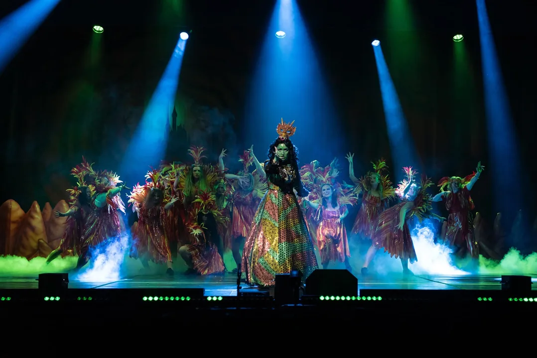 Save Fleet's [Fan]Tastic Professional Pantomime!