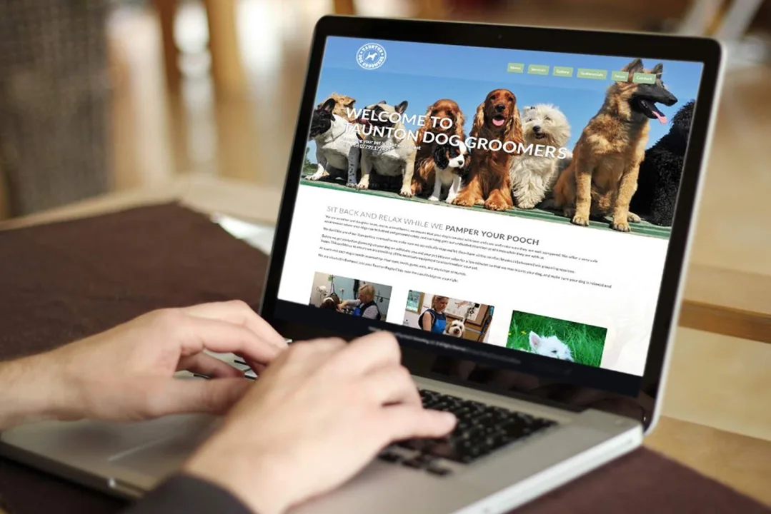 Petitie tegen www.wildersisnotholland.com
