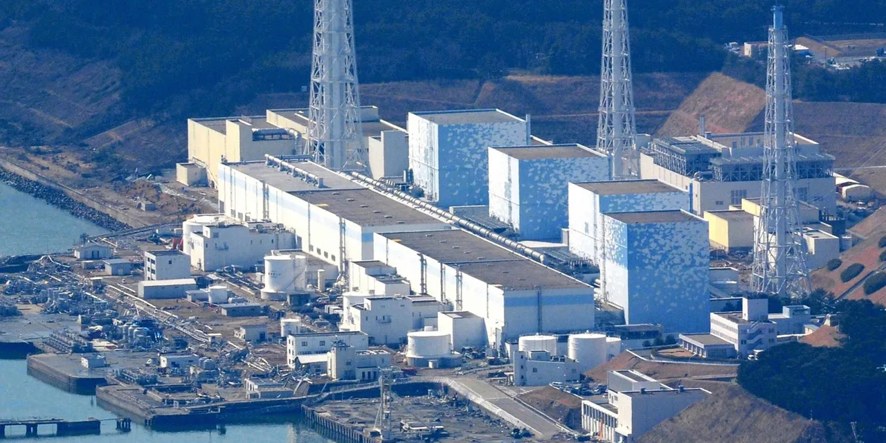 Tell Japan to Seal Fukushima Dai-ichi NOW!