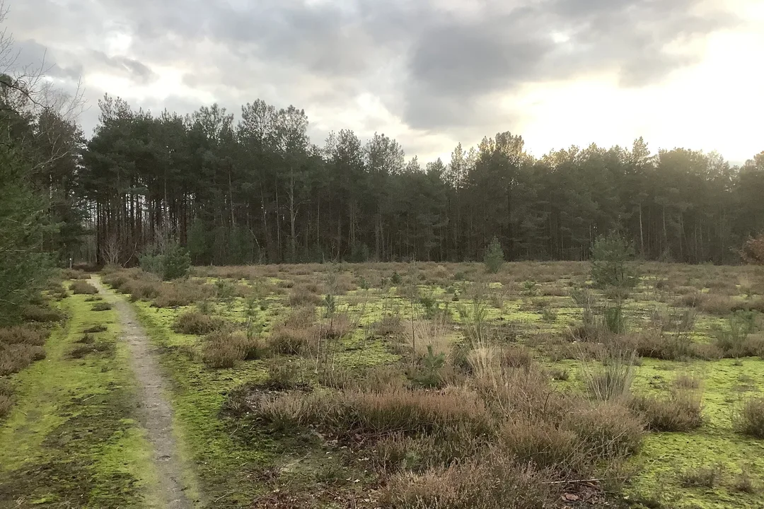 Red Beeltjens-Kwarekken Westerlo