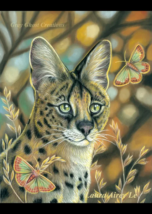 Save the African Serval in Texas