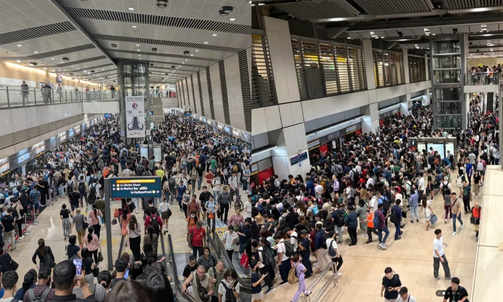 Deregulate Singapore's Public Transport Industry