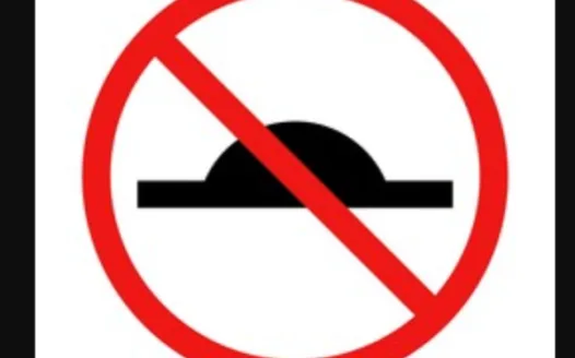 SAY NO TO SPEED BUMPS ON LAKE CARLTON! Loganville GA Gwinnett county!