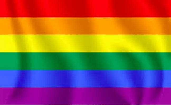 Start a GSA for 7th and 8th grade students in TMS