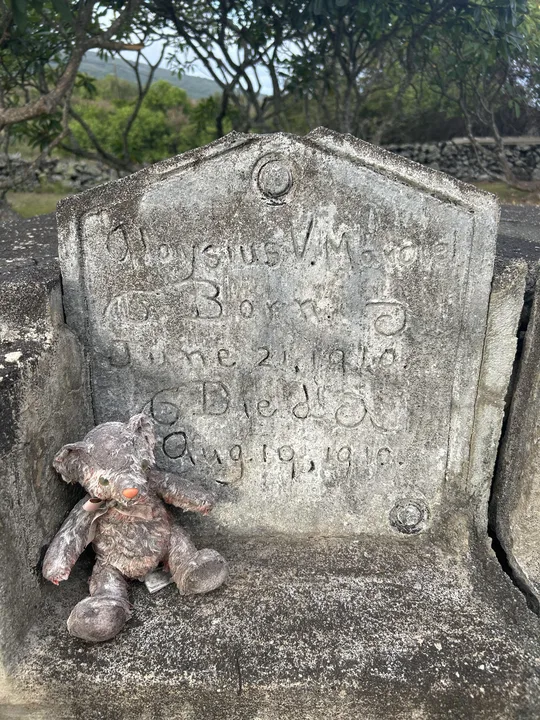 remove windturpine from graveyard