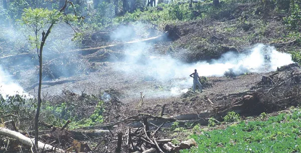 Save The Mau Forest Now (Evict illegal settler Killing our only Source of water)