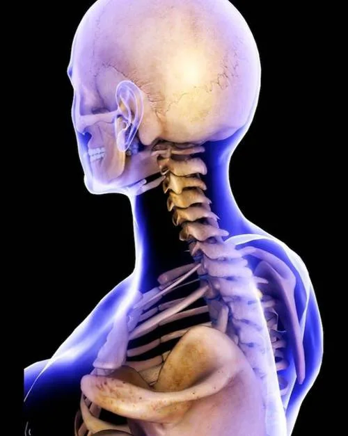 Promote the True Value of Chiropractic Care