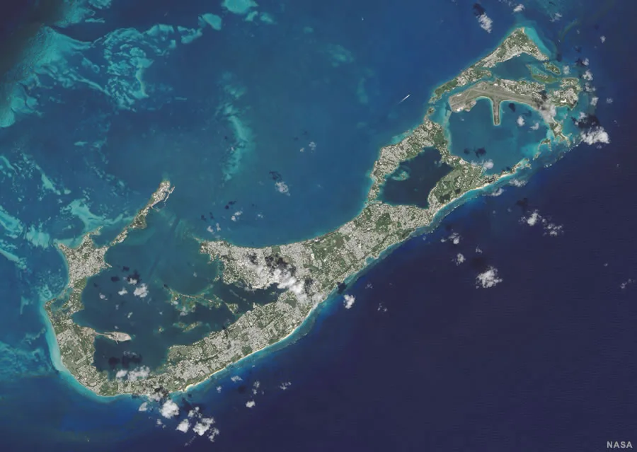 To allow Fred to come back to BERMUDA after Christmas!!!