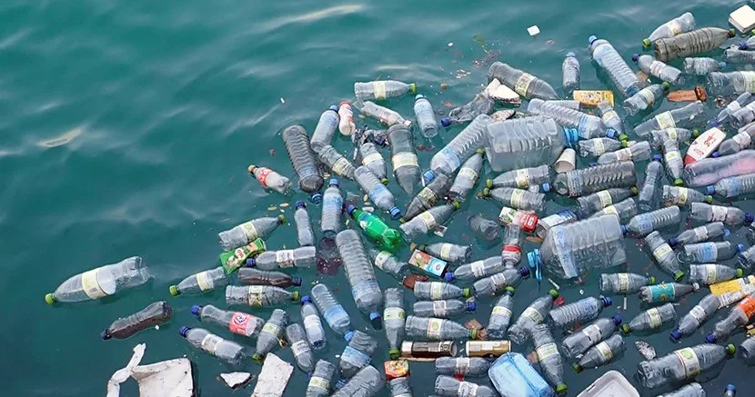 Reduce Your Plastic Use