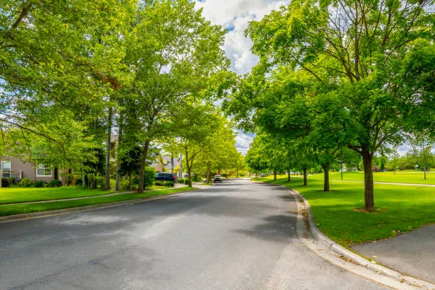 Save the West Point Loma Boulevard Neighborhood