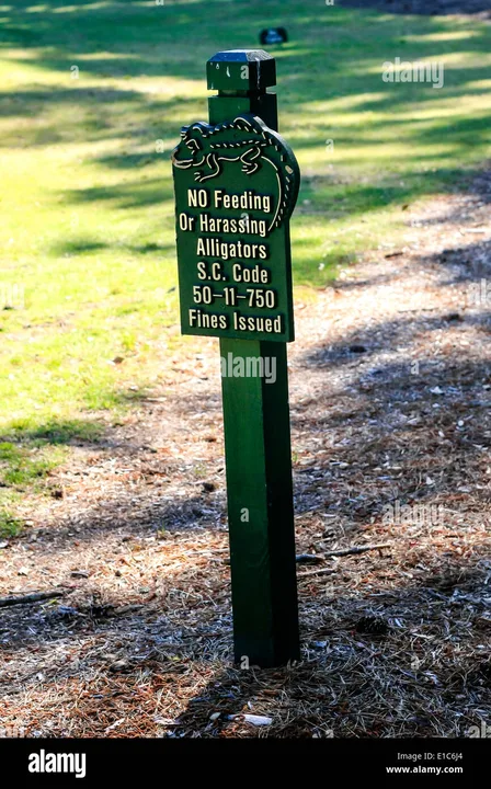 Callawassie Island Snake and Alligator Caution Signs