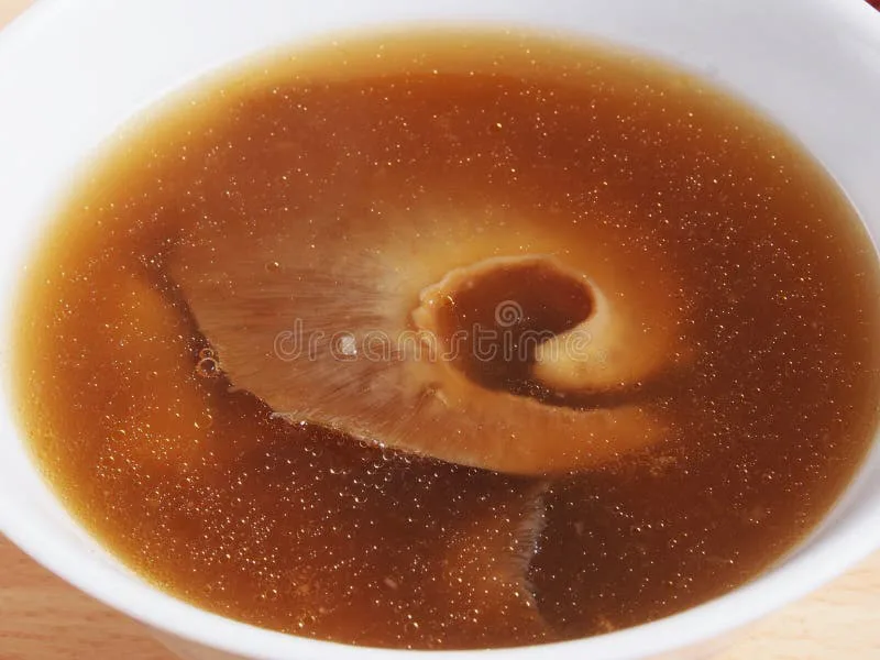 Ban Shark Fins in Burnaby 
