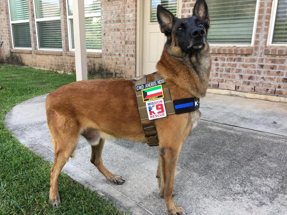Save Retired Metro Dogs