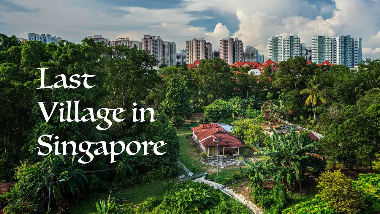 Conserve Kampong Lorong Buangkok!